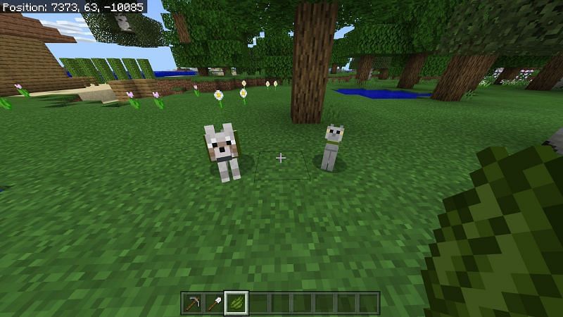 Как получить зеленый краситель в Minecraft8